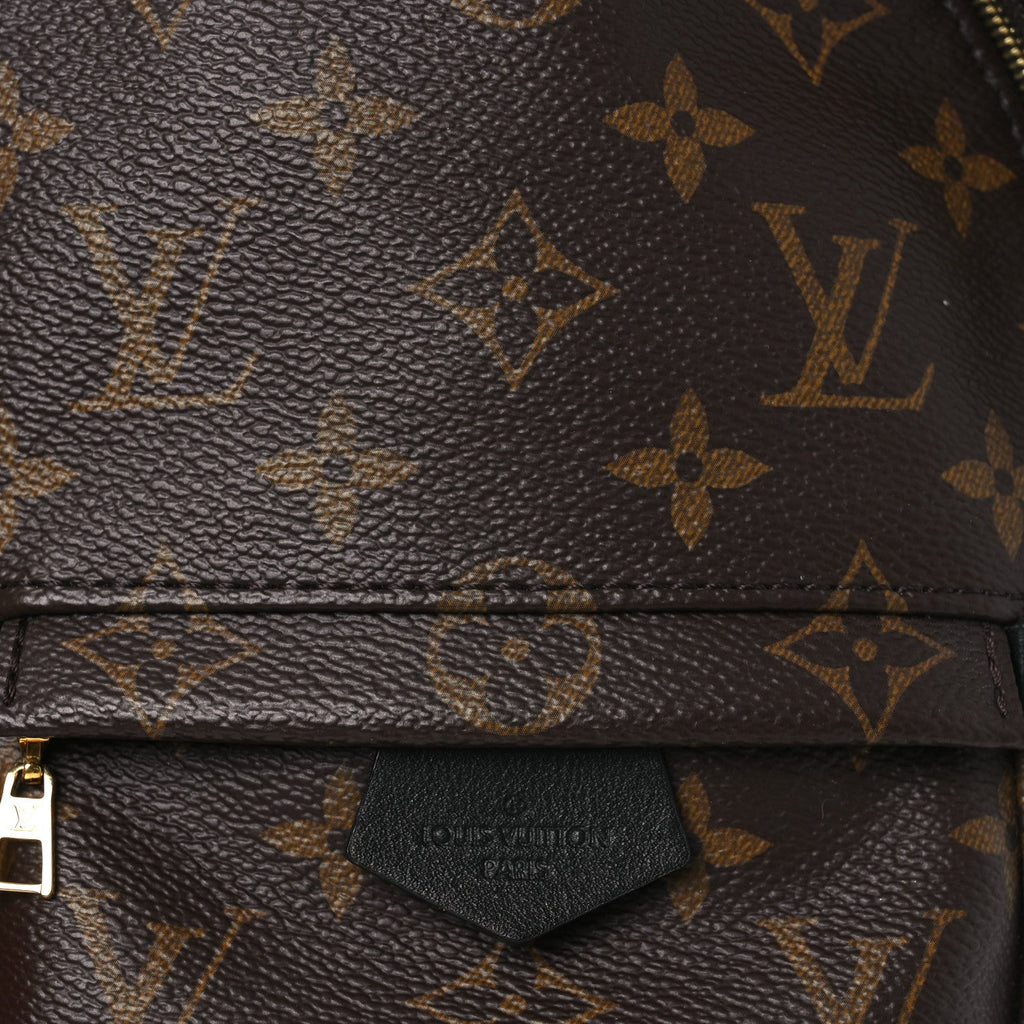 Monogram Palm Springs Backpack Mini