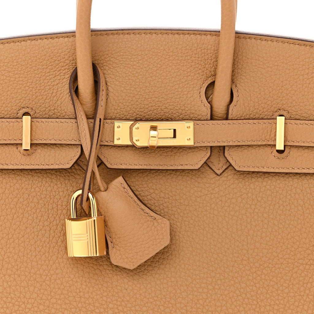 Togo Birkin 25 Biscuit