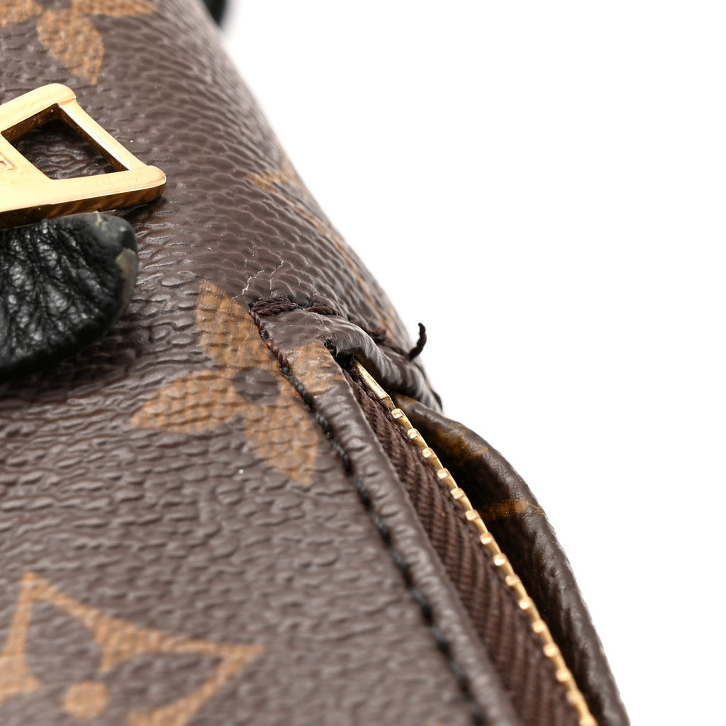 Monogram Palm Springs Backpack PM