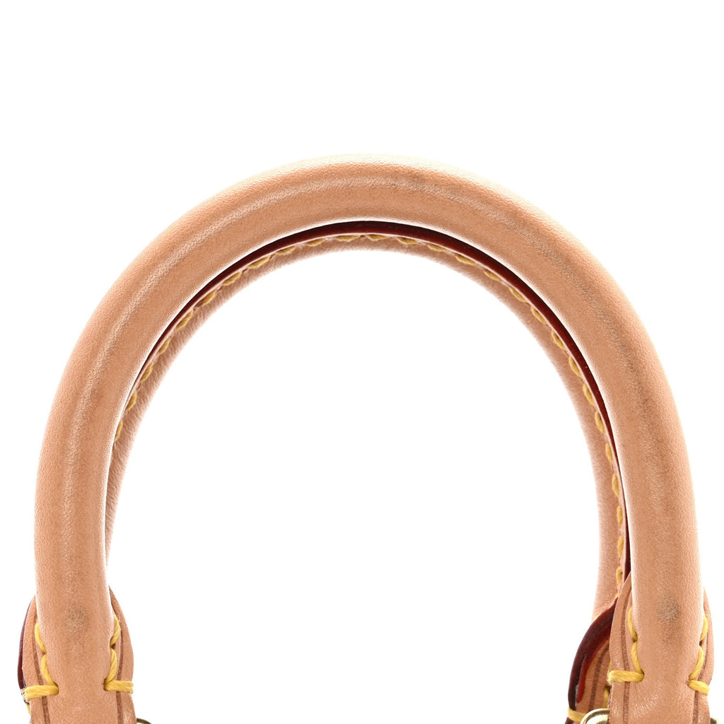 Monogram Nano Speedy